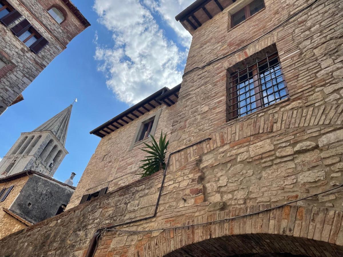 Numero 6 Todi Buitenkant foto